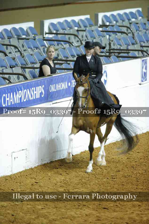 Proof 15R9_03397