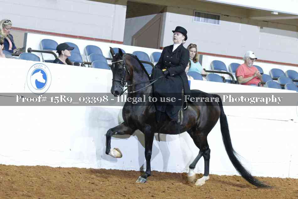 Proof 15R9_03398