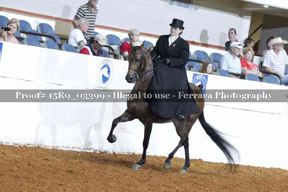 Proof 15R9_03399