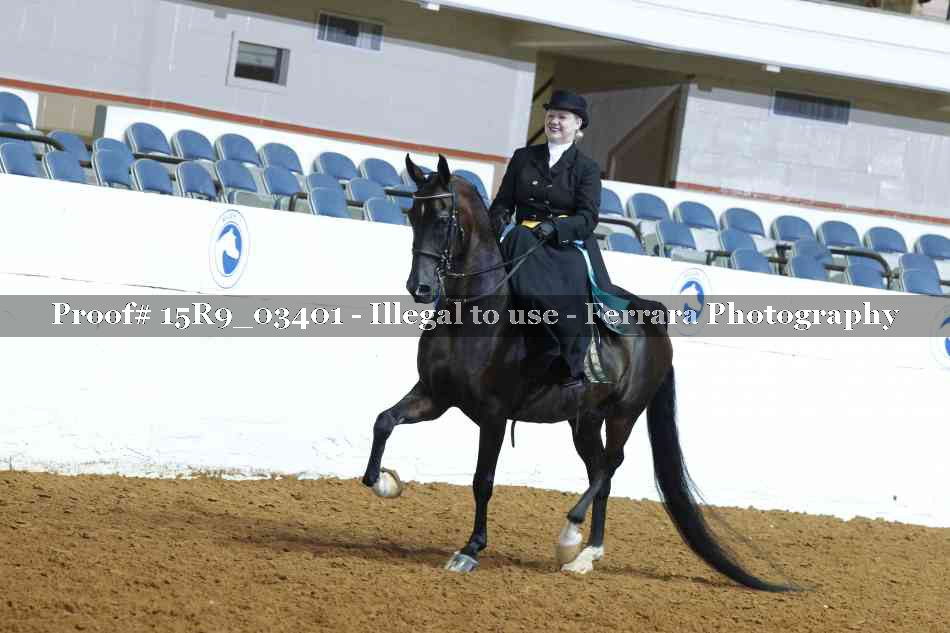 Proof 15R9_03401