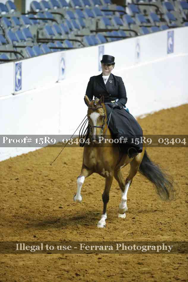 Proof 15R9_03404