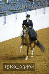 15R9_03404 proof