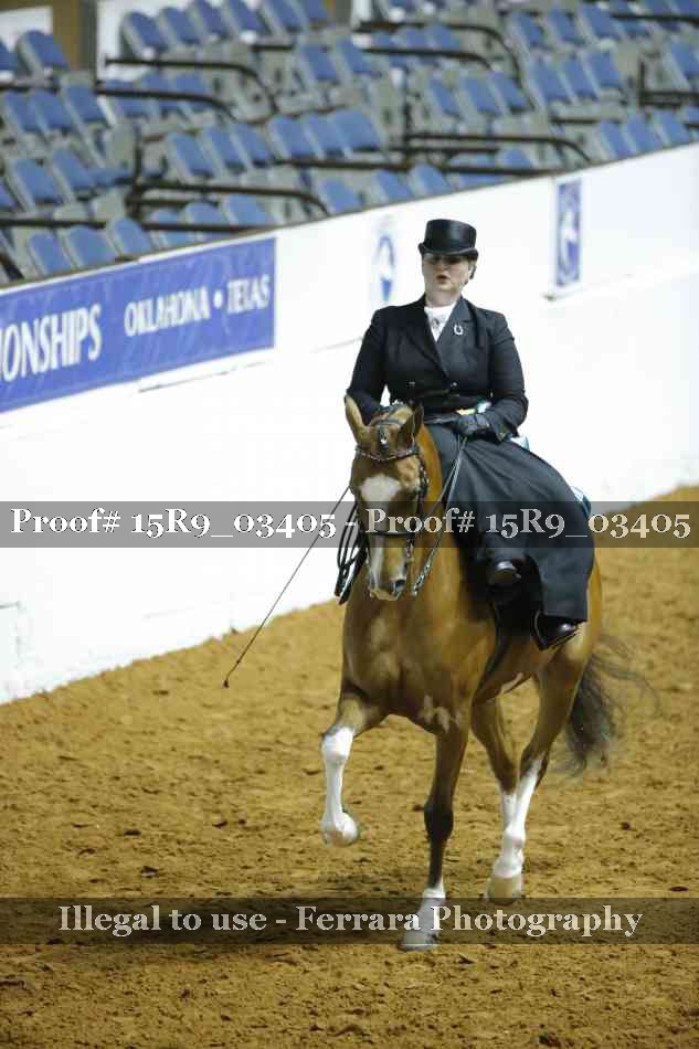 Proof 15R9_03405