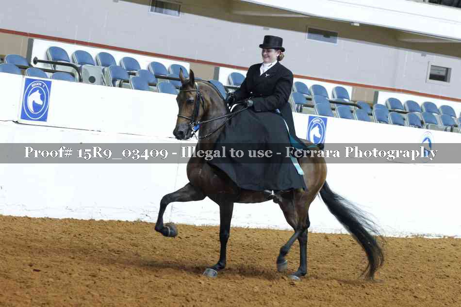 Proof 15R9_03409