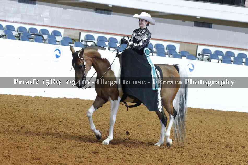 Proof 15R9_03410