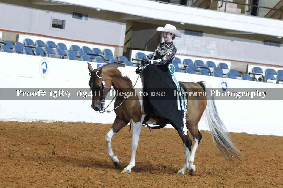 Proof 15R9_03411