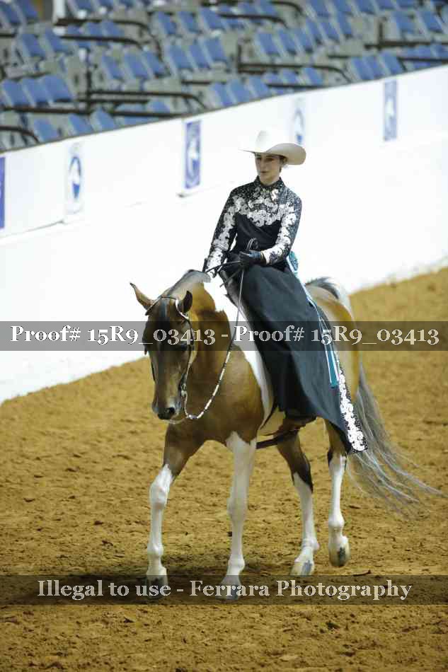 Proof 15R9_03413