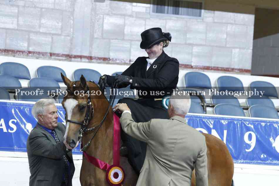 Proof 15R9_03420