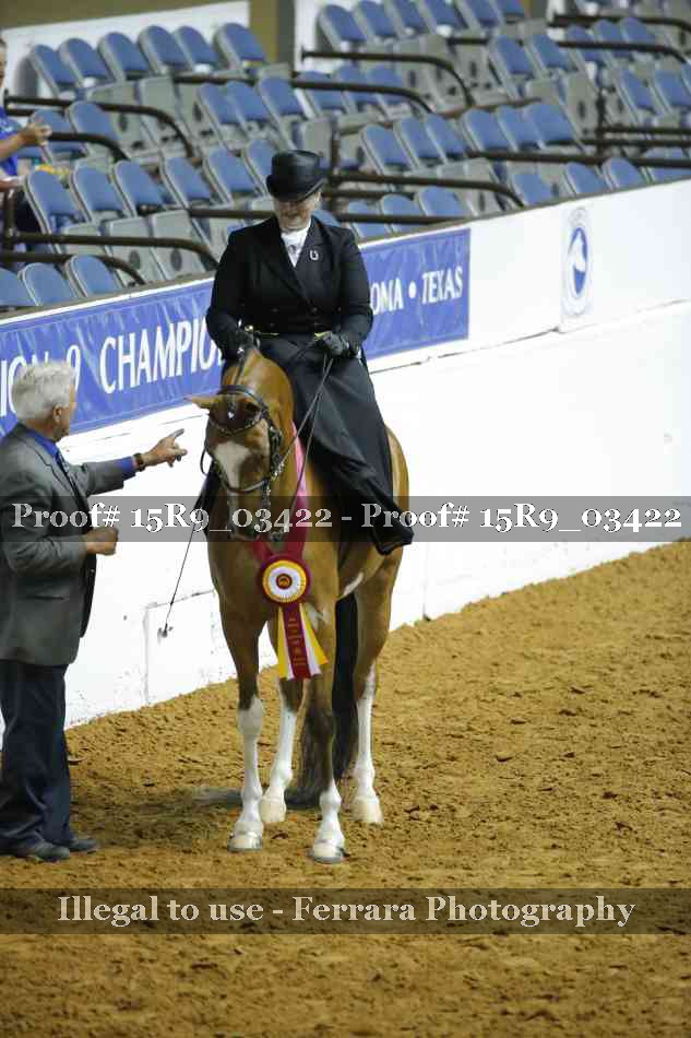 Proof 15R9_03422