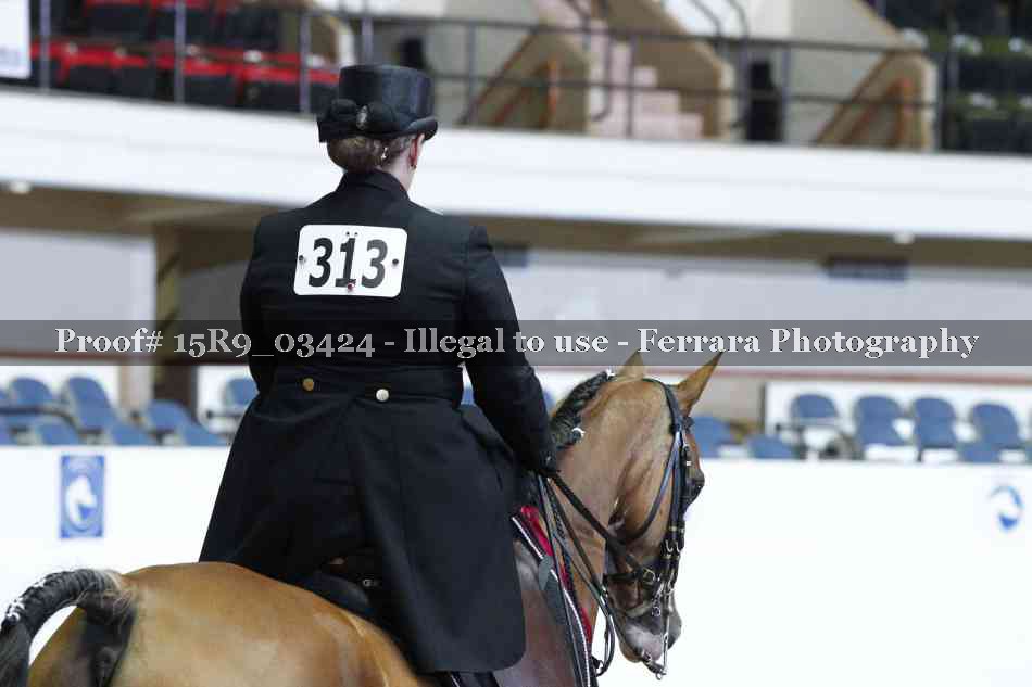 Proof 15R9_03424