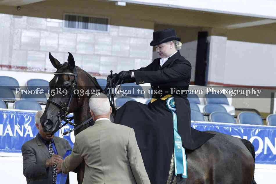 Proof 15R9_03425
