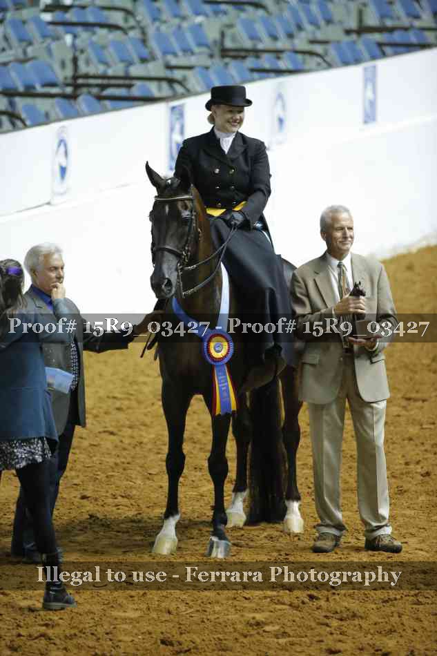 Proof 15R9_03427