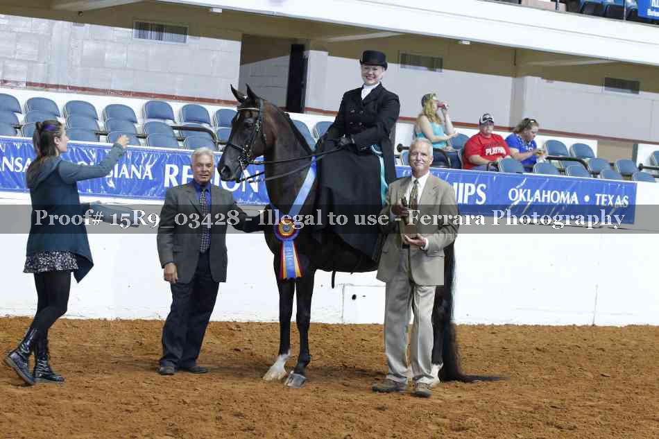 Proof 15R9_03428