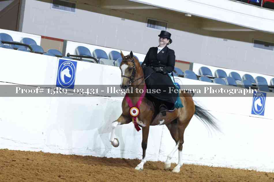 Proof 15R9_03431