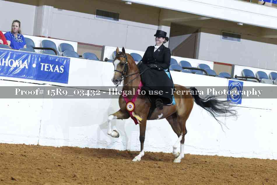 Proof 15R9_03432