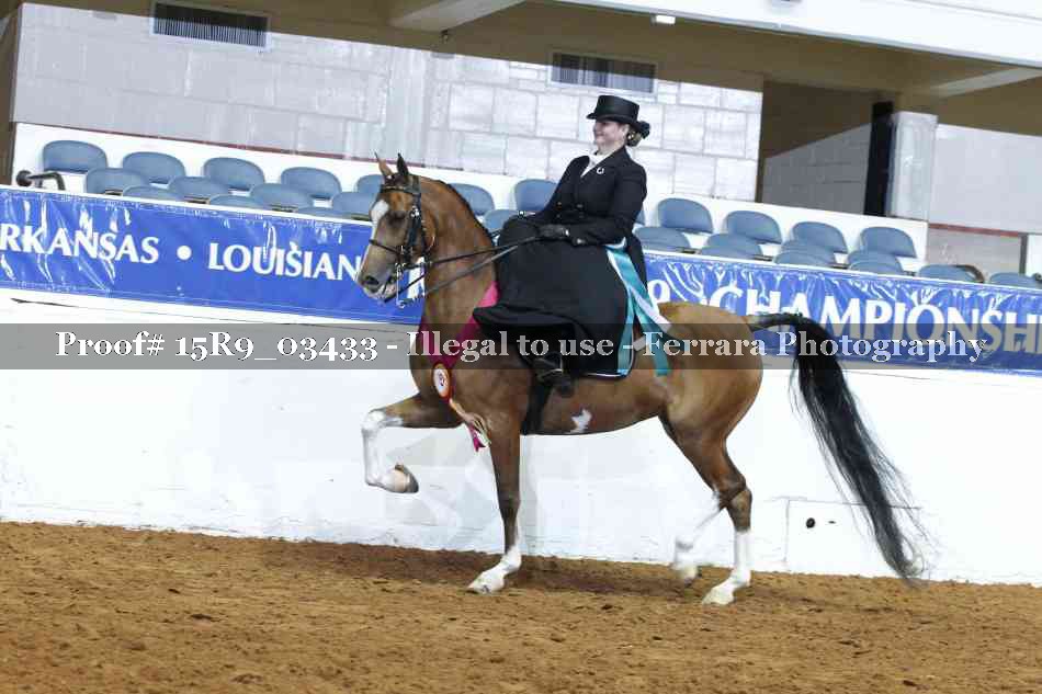 Proof 15R9_03433
