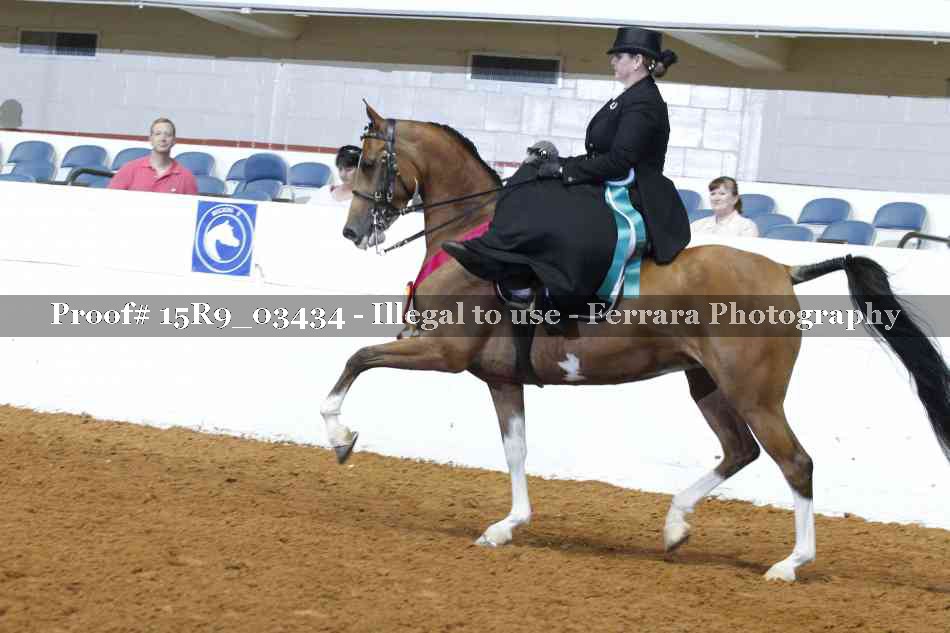 Proof 15R9_03434