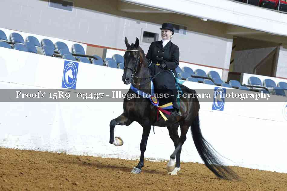 Proof 15R9_03437
