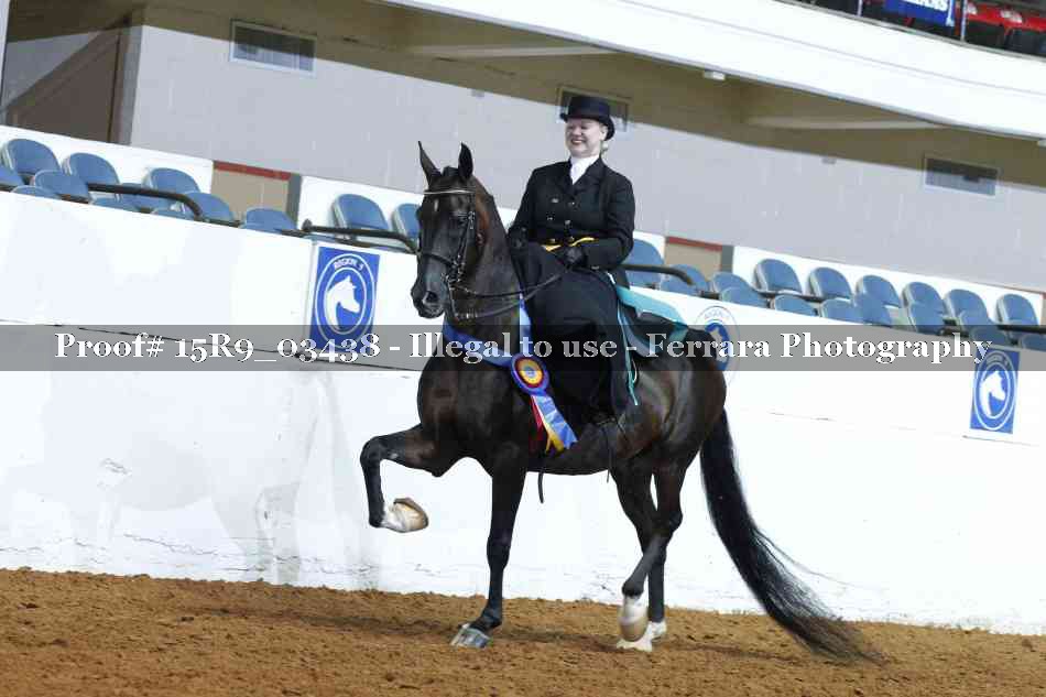 Proof 15R9_03438