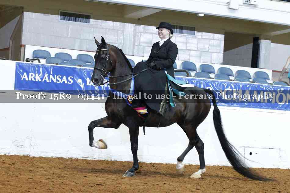 Proof 15R9_03441