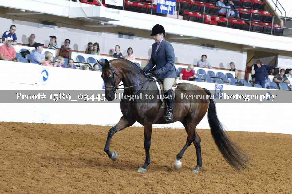 Proof 15R9_03445