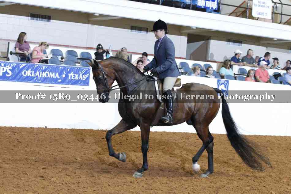 Proof 15R9_03446