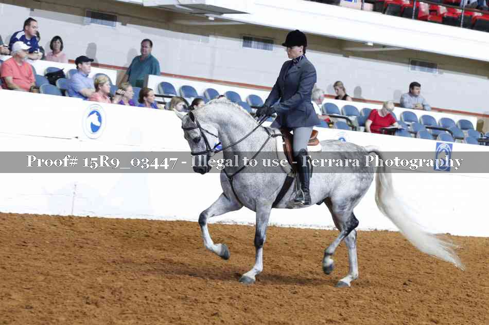 Proof 15R9_03447