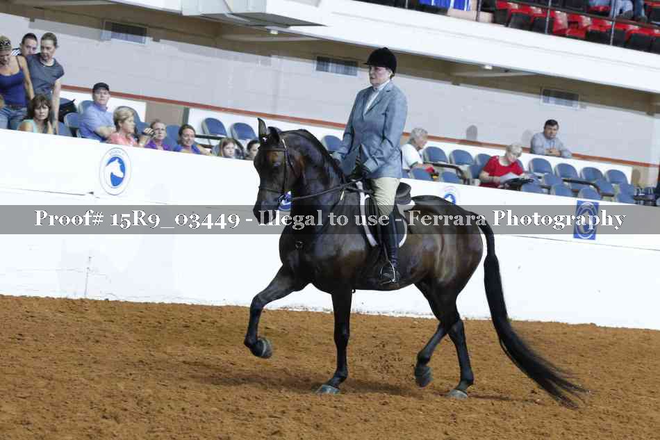 Proof 15R9_03449