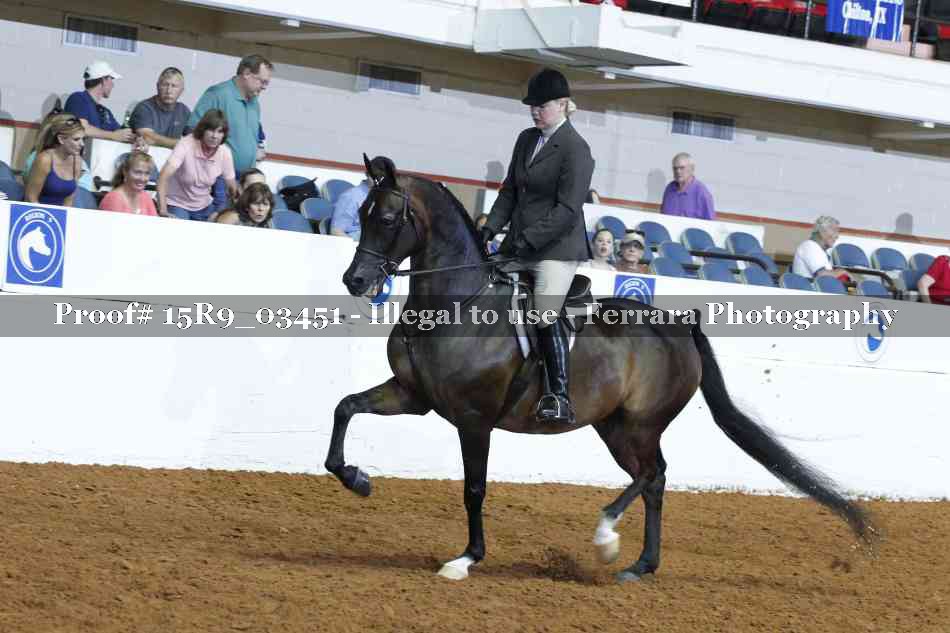 Proof 15R9_03451
