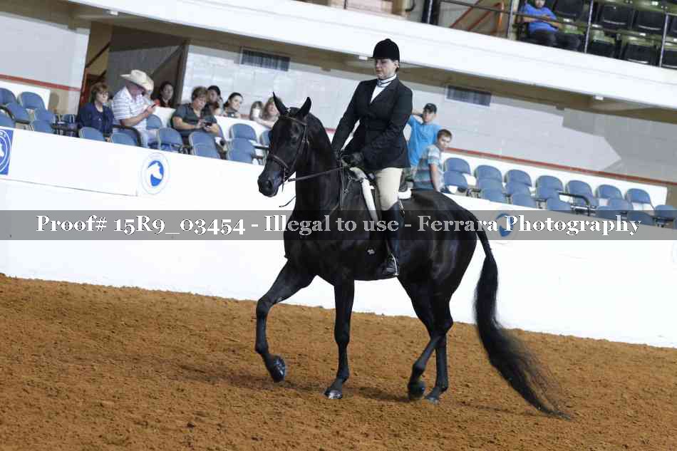 Proof 15R9_03454