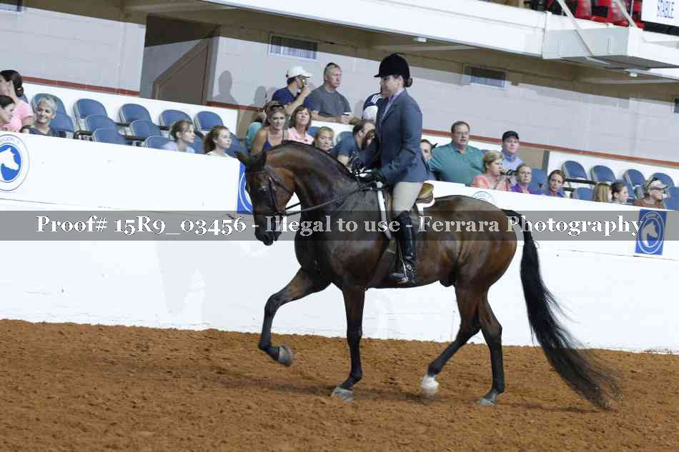 Proof 15R9_03456