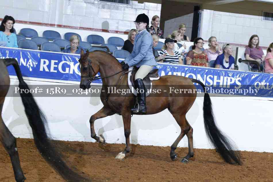 Proof 15R9_03460