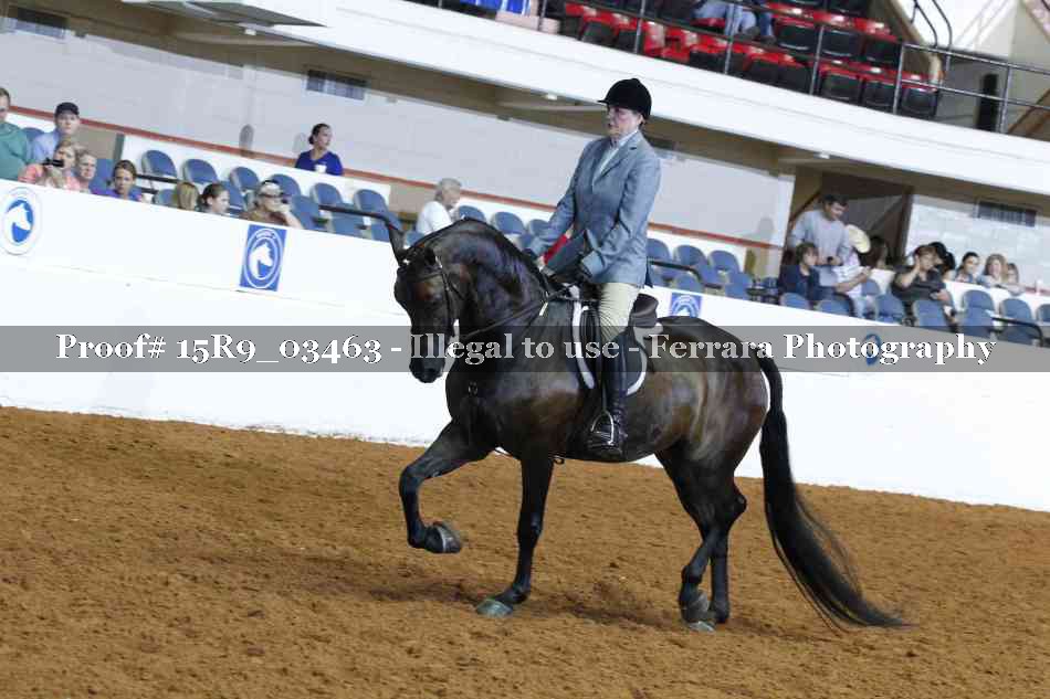 Proof 15R9_03463