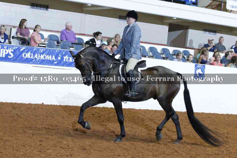 Proof 15R9_03465