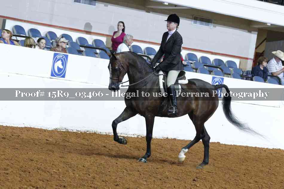 Proof 15R9_03466