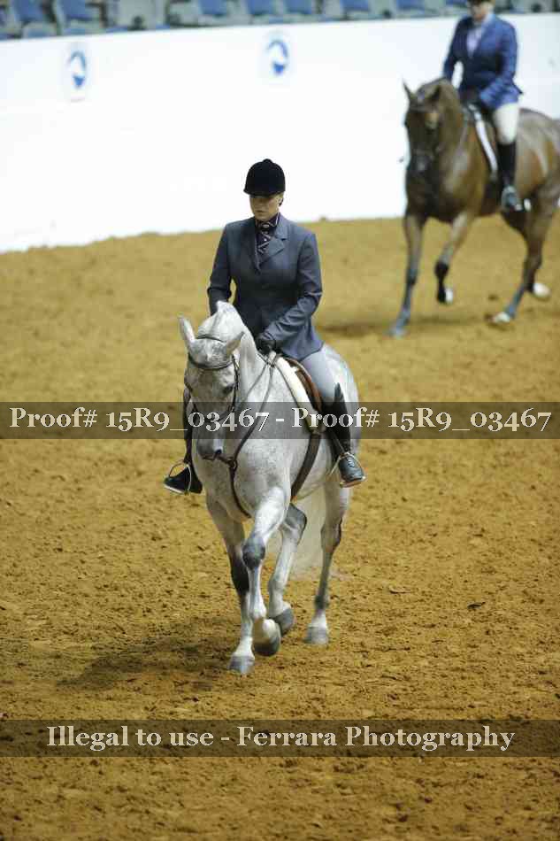 Proof 15R9_03467