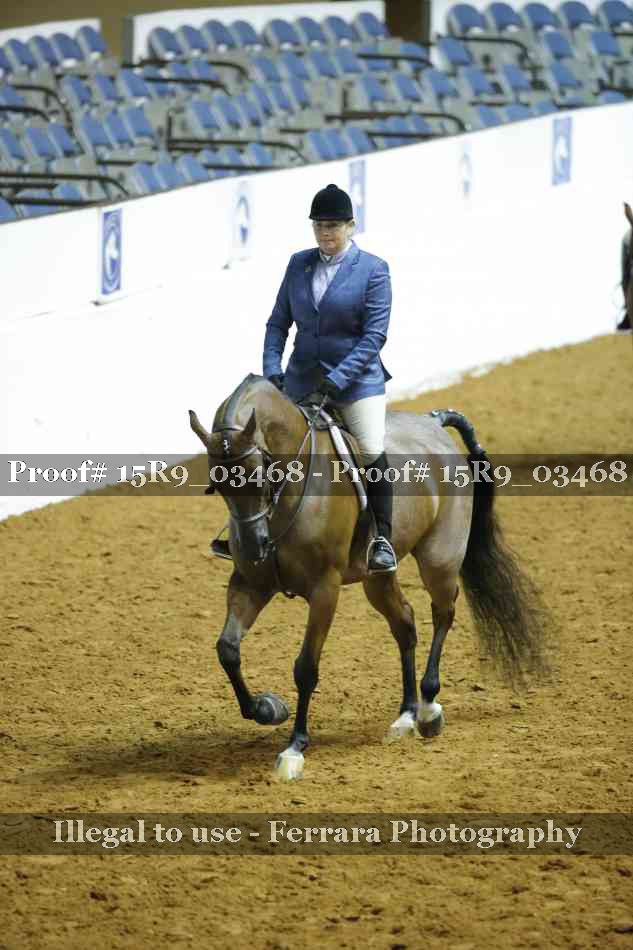 Proof 15R9_03468