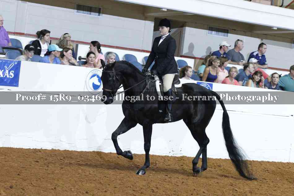 Proof 15R9_03469