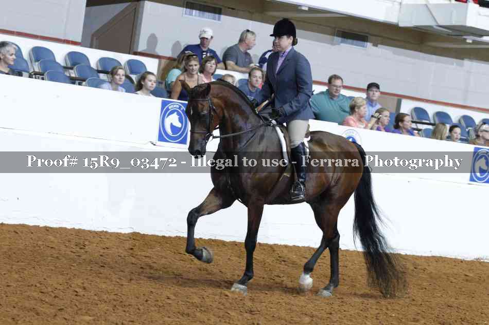 Proof 15R9_03472