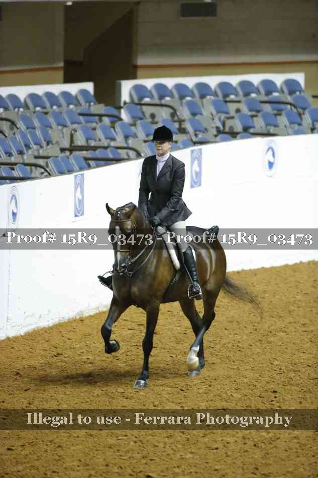Proof 15R9_03473