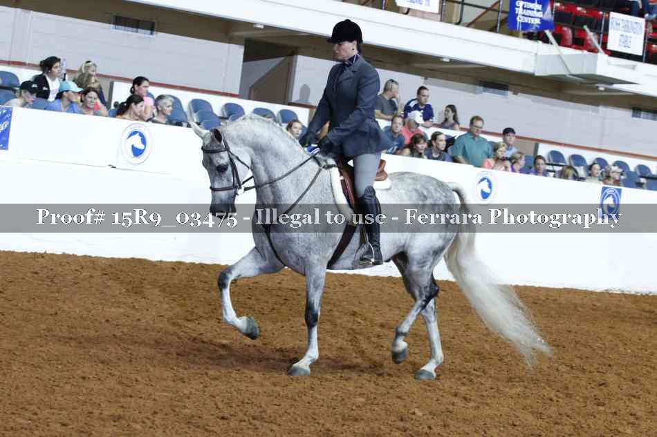 Proof 15R9_03475