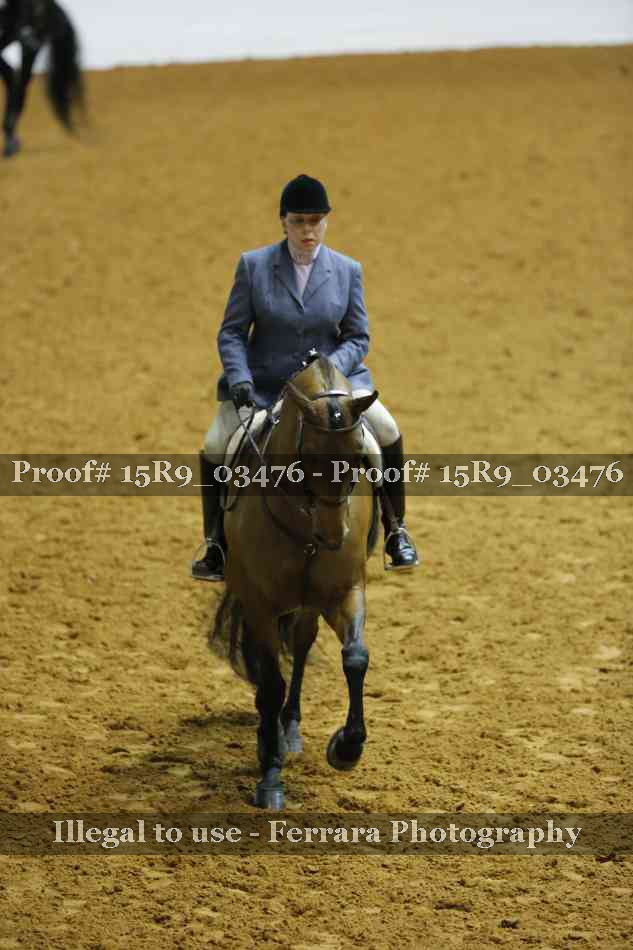 Proof 15R9_03476