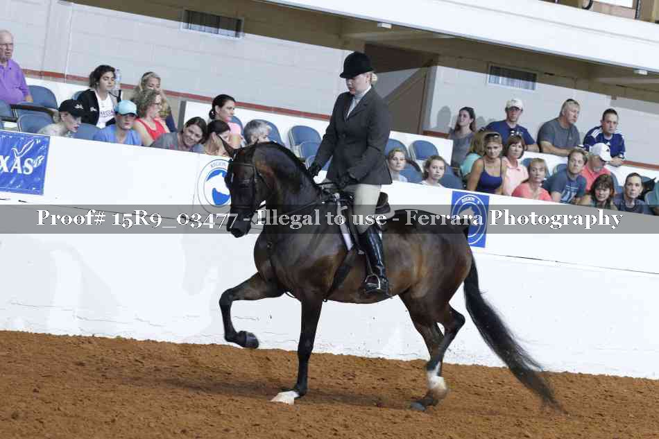 Proof 15R9_03477