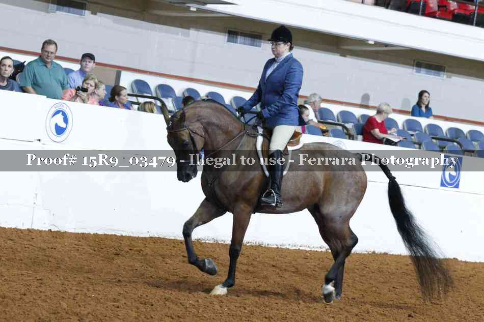Proof 15R9_03479
