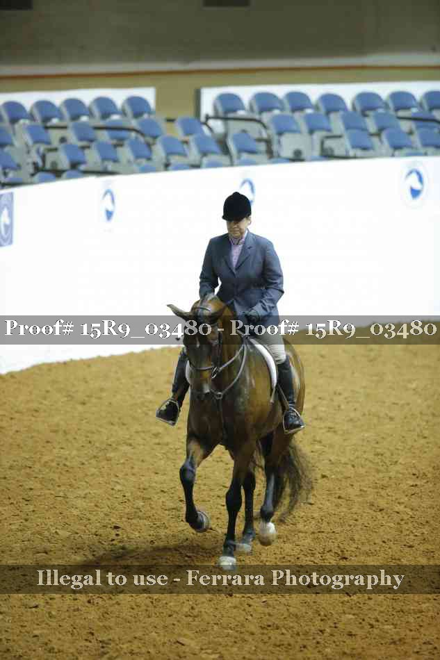 Proof 15R9_03480