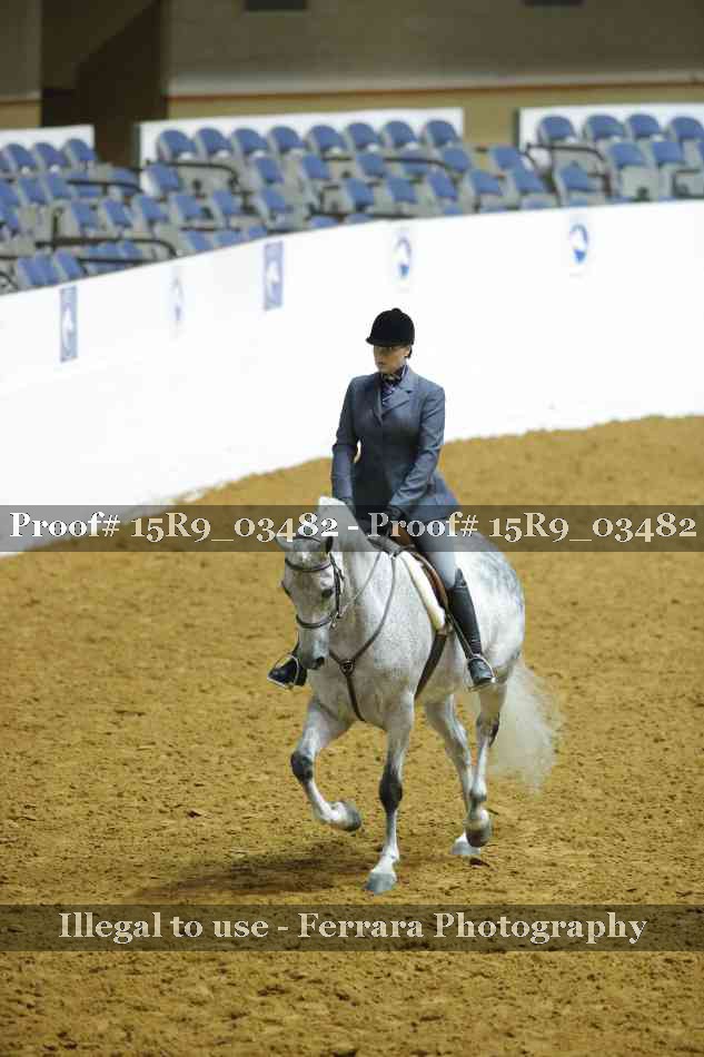 Proof 15R9_03482