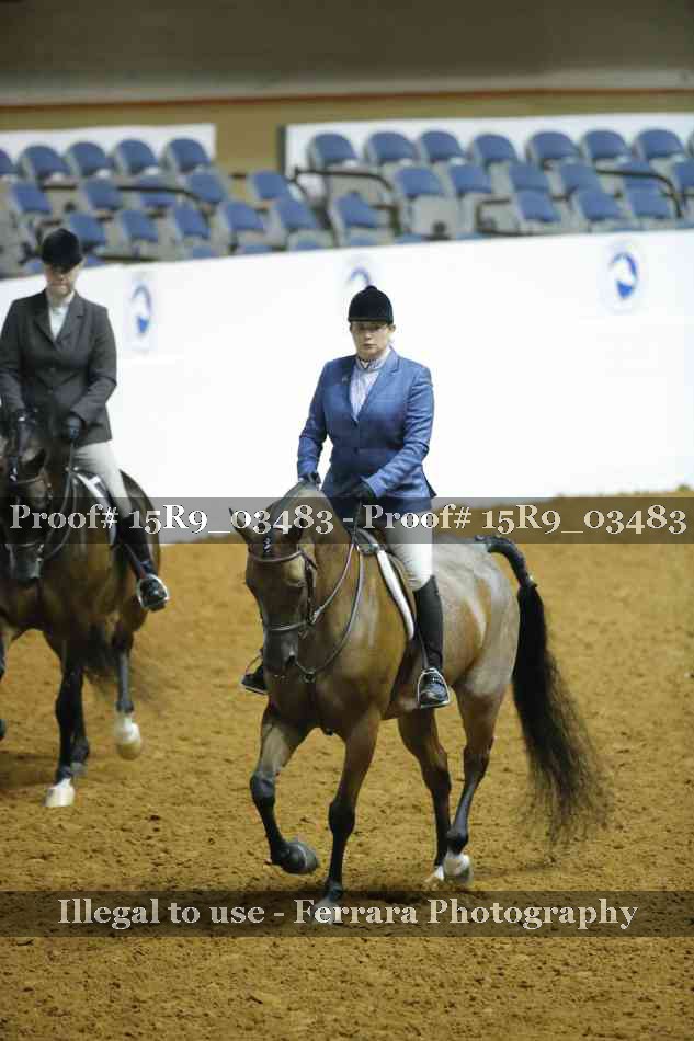 Proof 15R9_03483