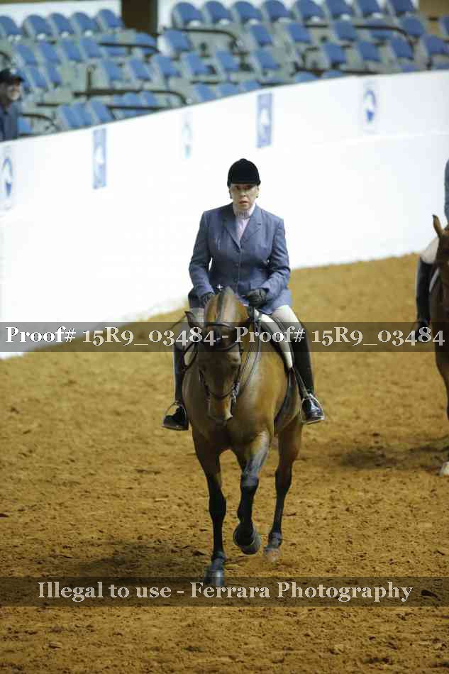 Proof 15R9_03484