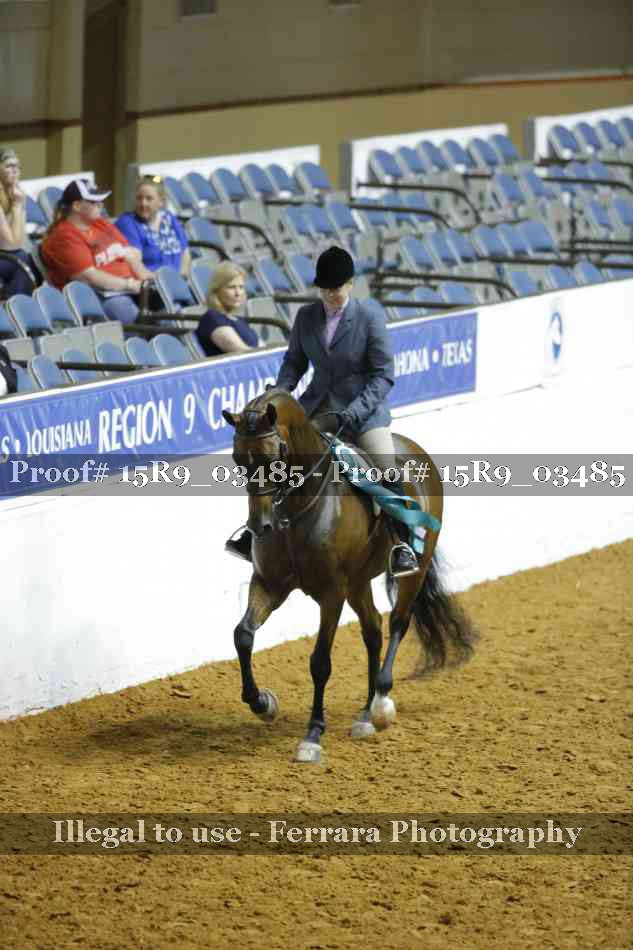 Proof 15R9_03485