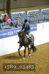 15R9_03485 proof